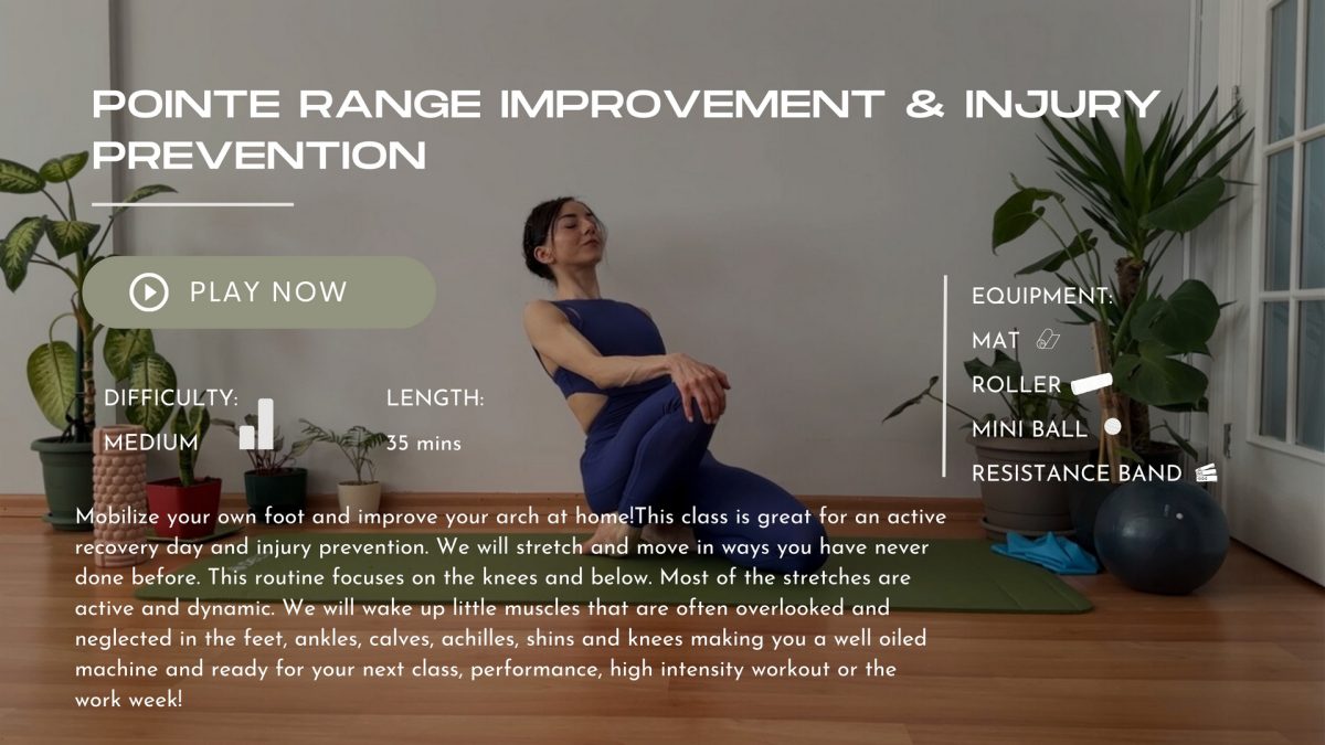 Pointe Range Improvement Injury Prevention Bodhicore
